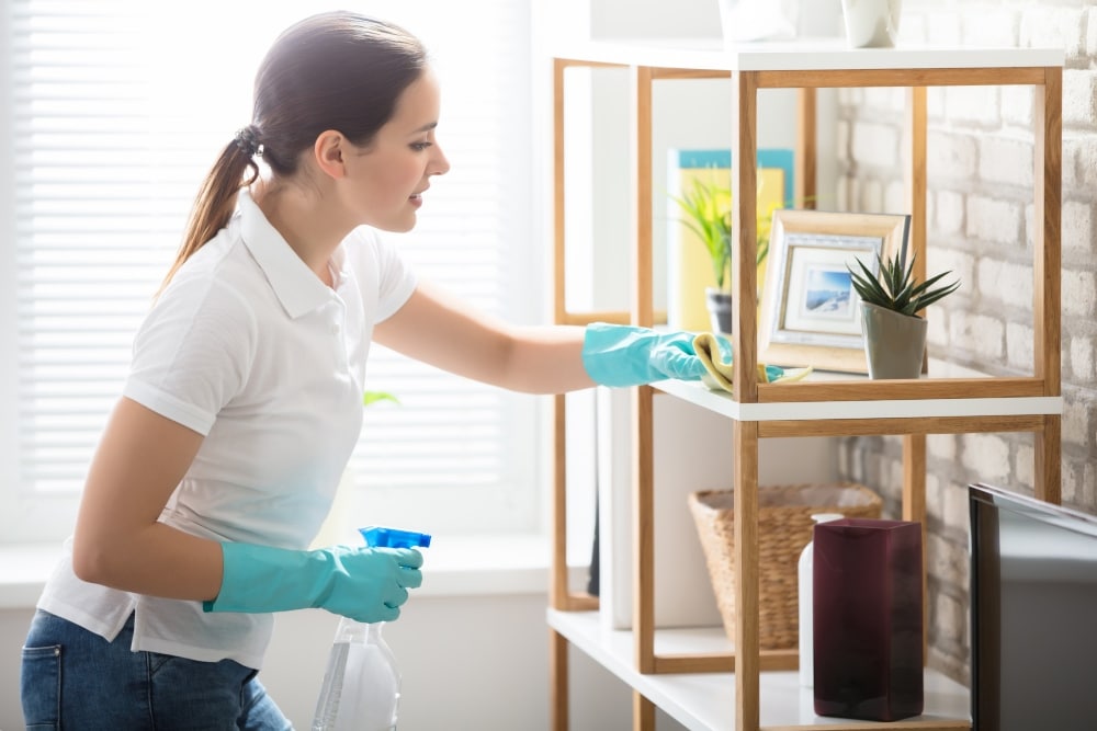 Housekeeping Cleaning Services