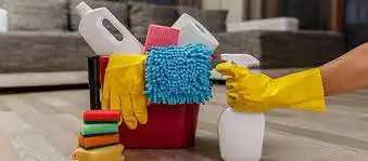 Same Day Cleaning Service