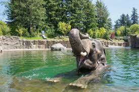 Oregon Zoo