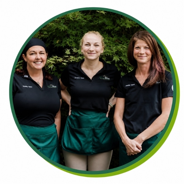 Three team members