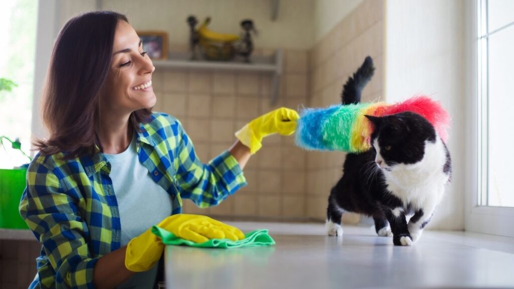 One-Time Cleaning vs. Recurring Cleaning: Which Do You Need?